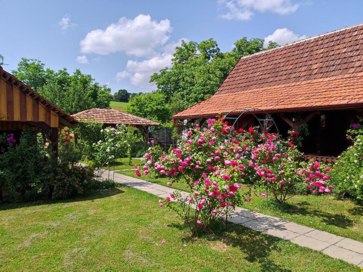 Pod Orehom Drvena Kuca I Sauna Hotell Krapina Exteriör bild