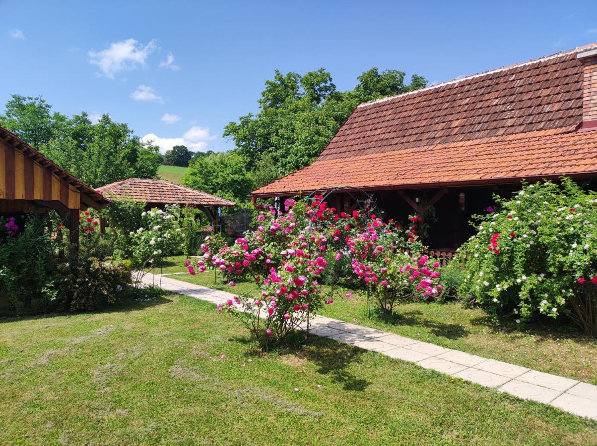 Pod Orehom Drvena Kuca I Sauna Hotell Krapina Exteriör bild